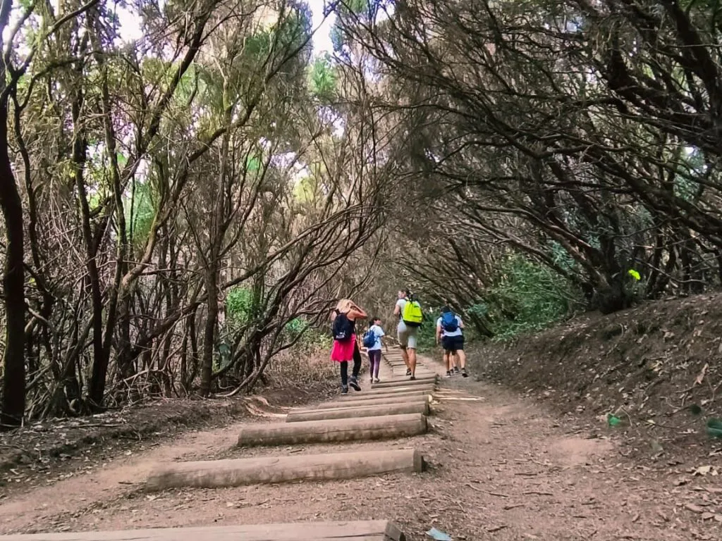 8-mosquetones-adventure-tenerife-sunshine-rent (3)