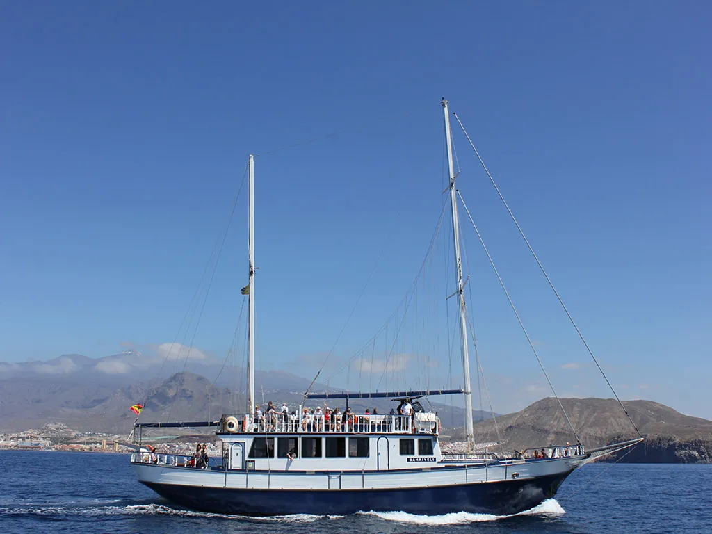 bahriyeli-tenerife-sunshine-rent (1)