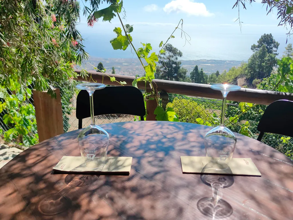 bodegas-ferrara-sunshine-rent-tenerife (2)