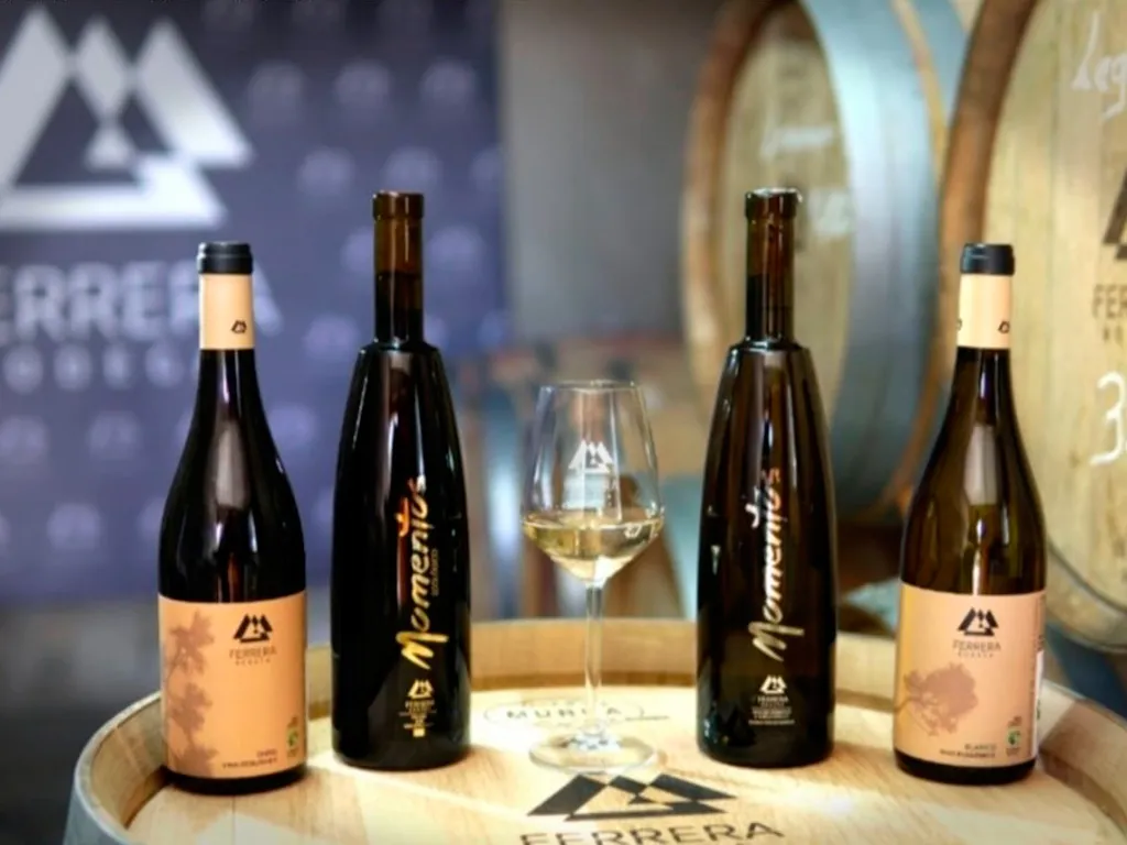 bodegas-ferrara-sunshine-rent-tenerife (4)