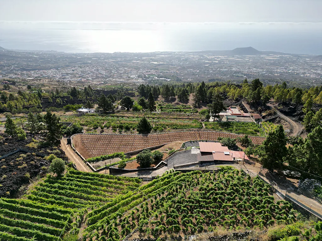 bodegas-ferrara-sunshine-rent-tenerife (5)