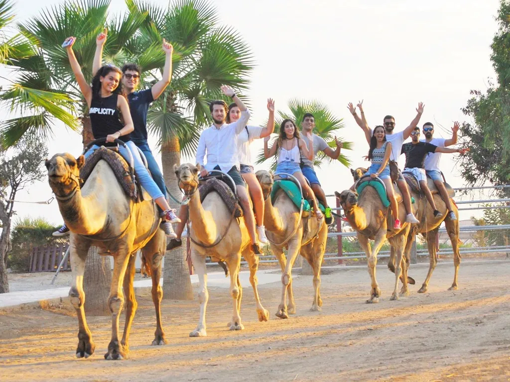 camel-park-sunshiine-rent-tenerife (3)