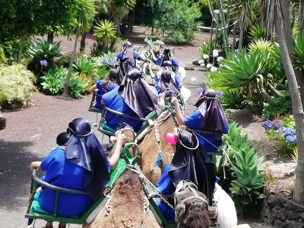 camello-center-escursione-tenerife-sunshine-rent (3)