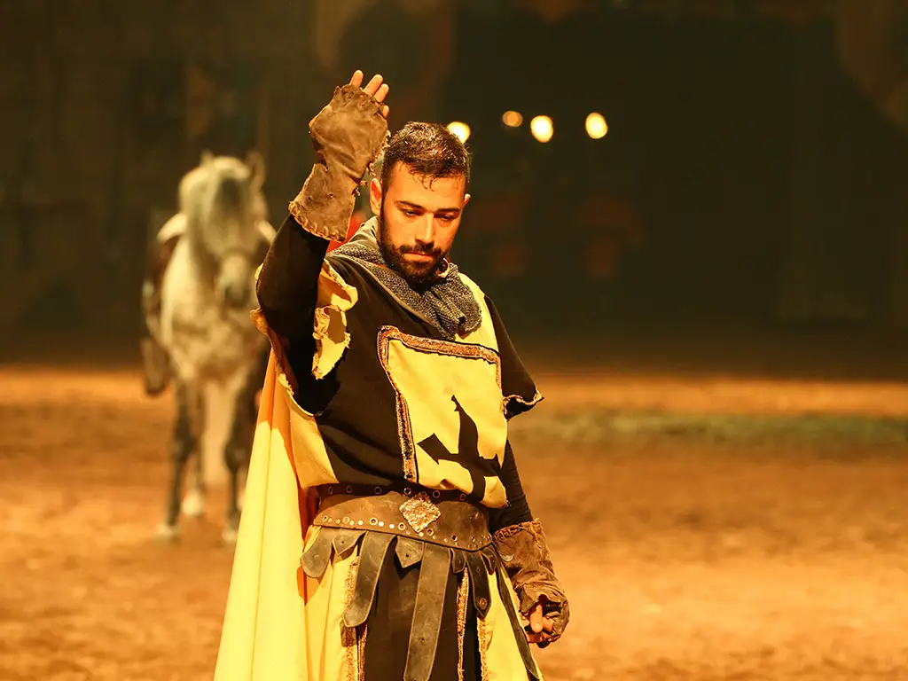 castillo-medievale-tenerife-sunshine-rent (10)