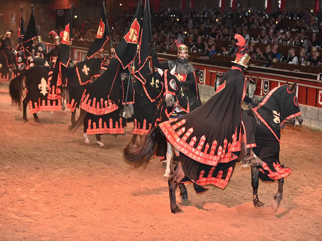 castillo-medievale-tenerife-sunshine-rent (5)