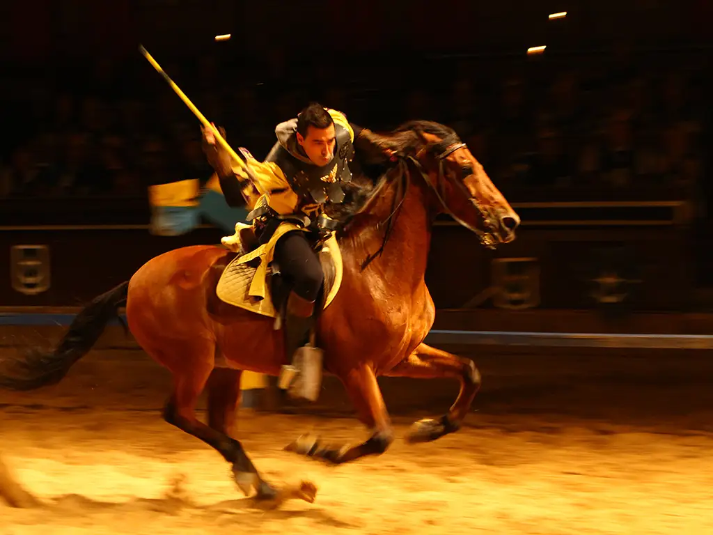 castillo-medievale-tenerife-sunshine-rent (6)