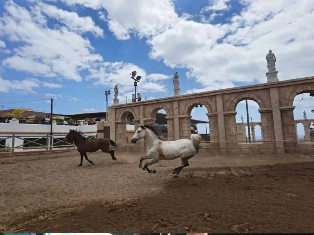 centro-hipico-xanadu-sunshine-rent (4)
