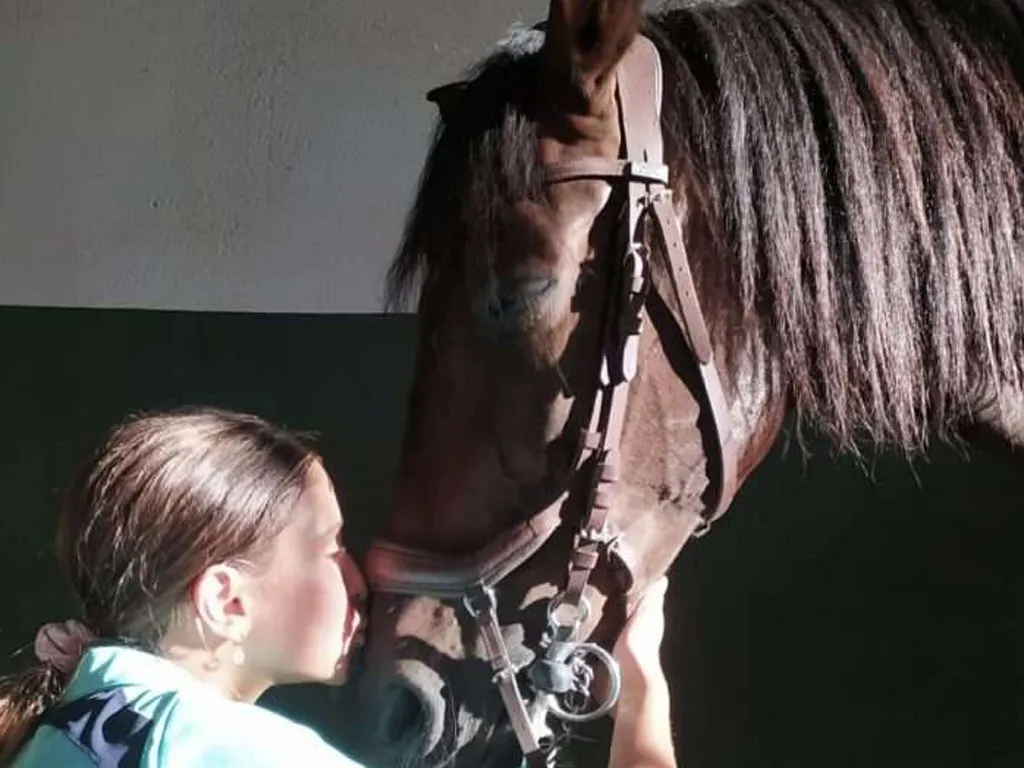 centro-hipico-xanadu-sunshine-rent (5)