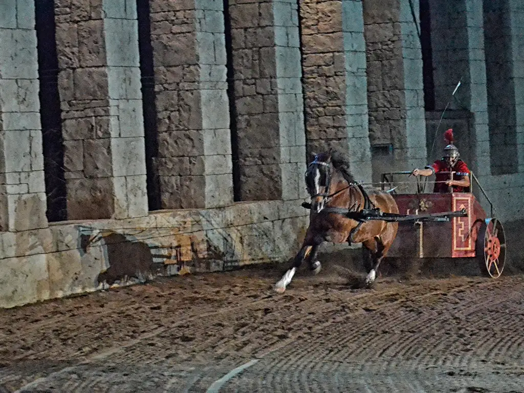 gladiux-tenerife-sunshine-rent (2)