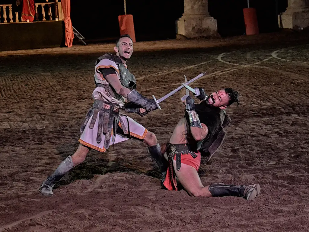 gladiux-tenerife-sunshine-rent (7)