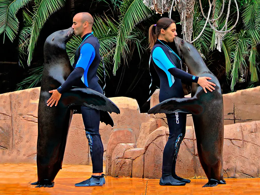 jungle-park-tenerife-sunshine-rent (10)