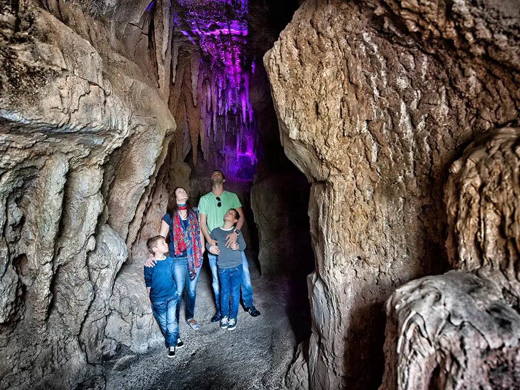 jungle-park-tenerife-sunshine-rent (2)