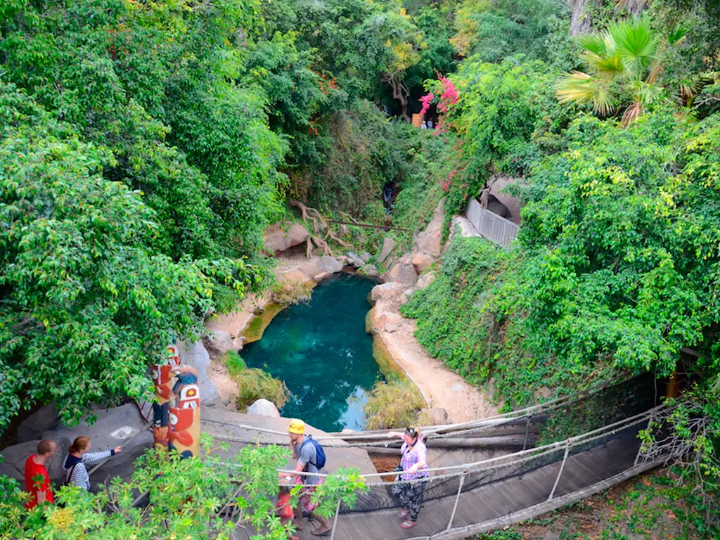 jungle-park-tenerife-sunshine-rent (5)