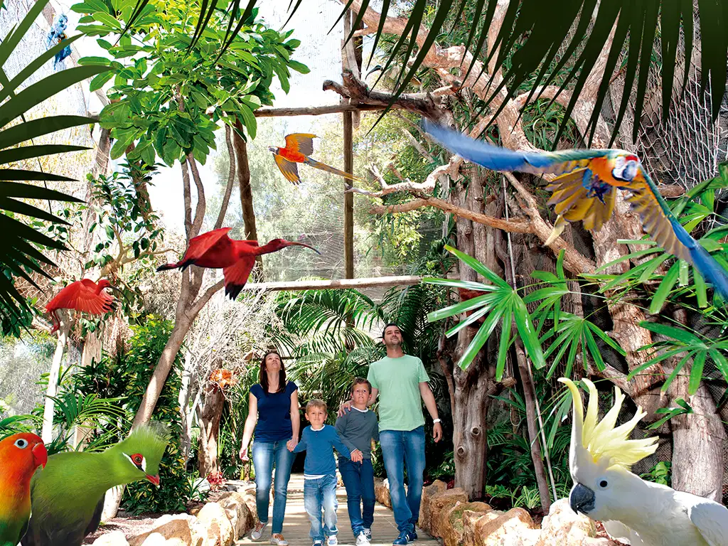 jungle-park-tenerife-sunshine-rent (8)