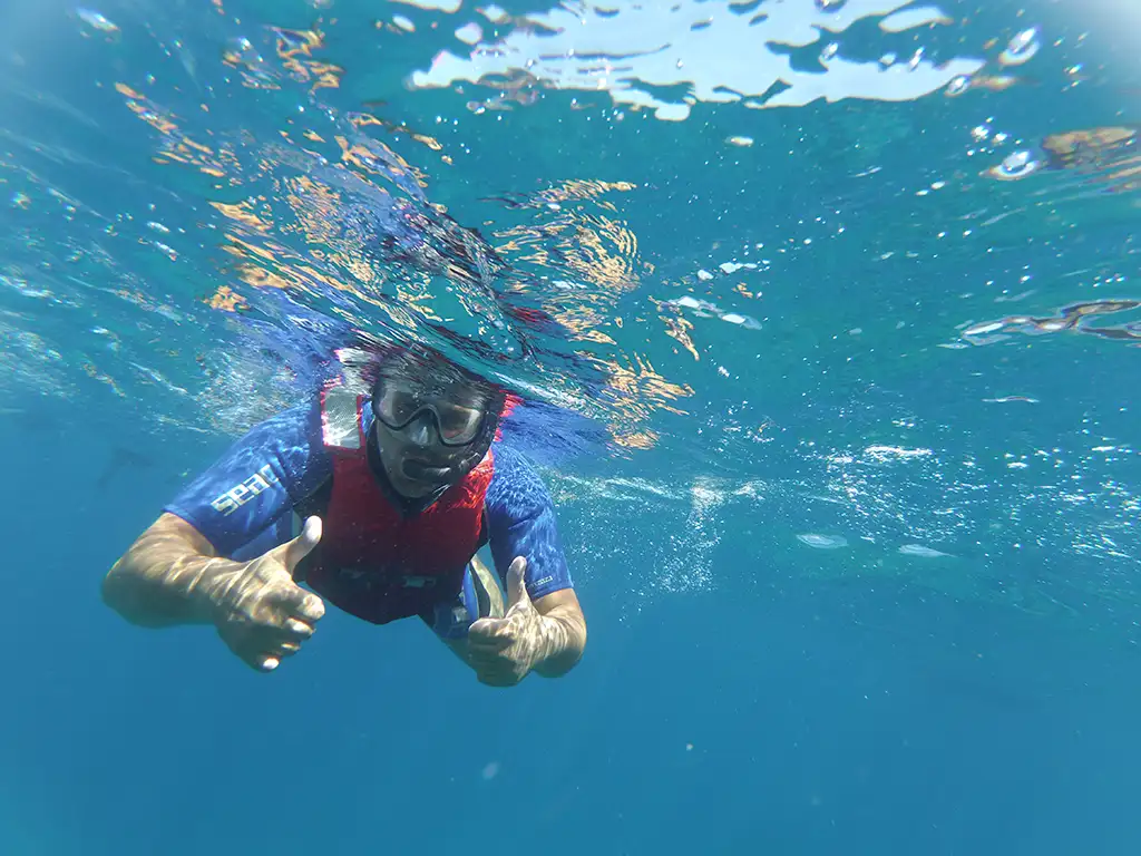 kayak-atlantis-tenerife-sunshine-rent (2)