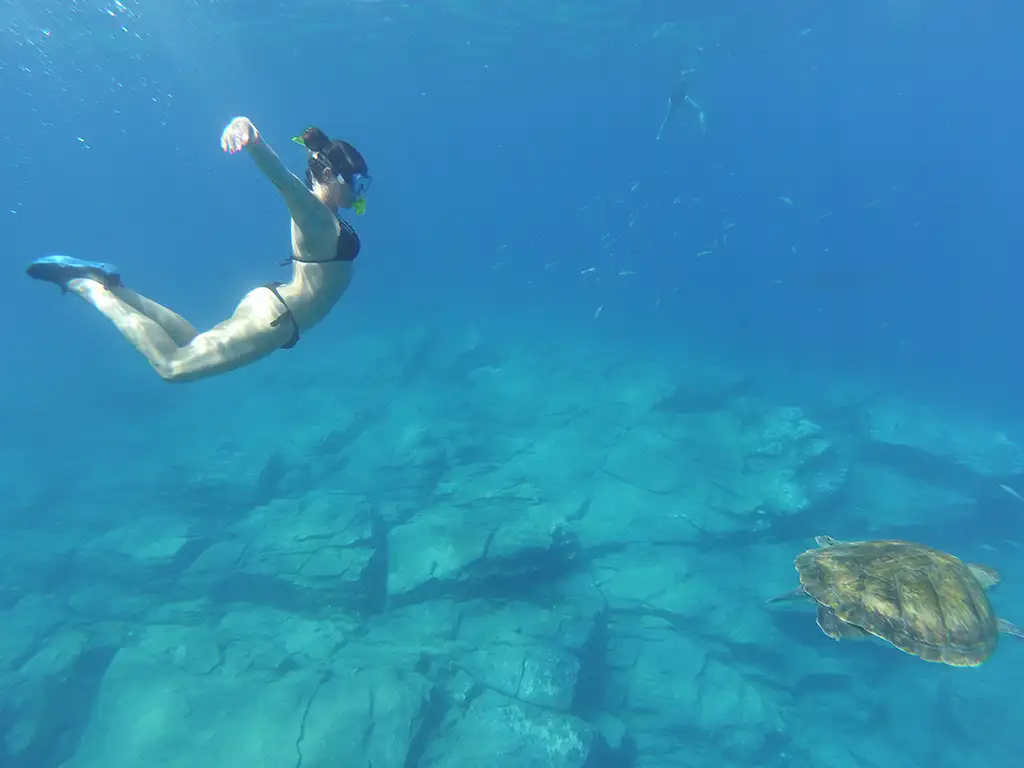 kayak-atlantis-tenerife-sunshine-rent (8)