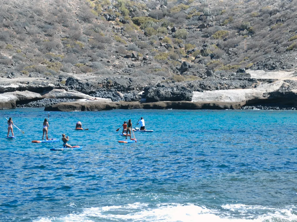 la-caleta-sup-tenerife-sunshine-rent (1)