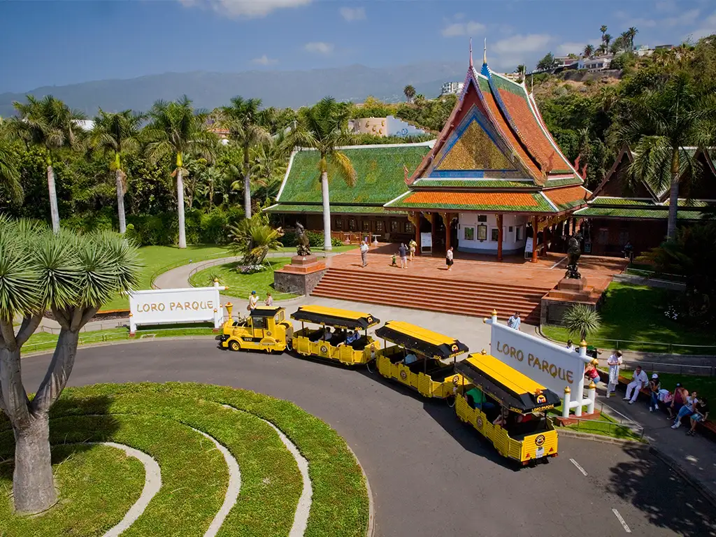 loro-parque-tenerife-sunshine-rent (15)