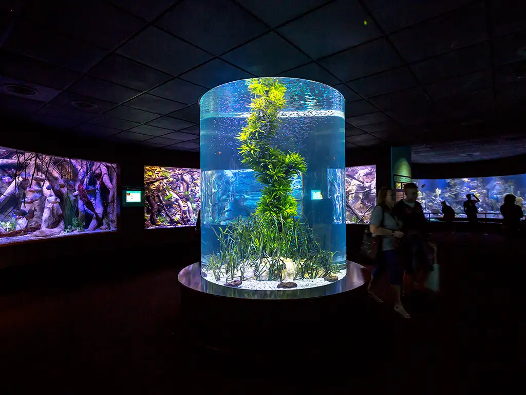 loro-parque-tenerife-sunshine-rent (6)