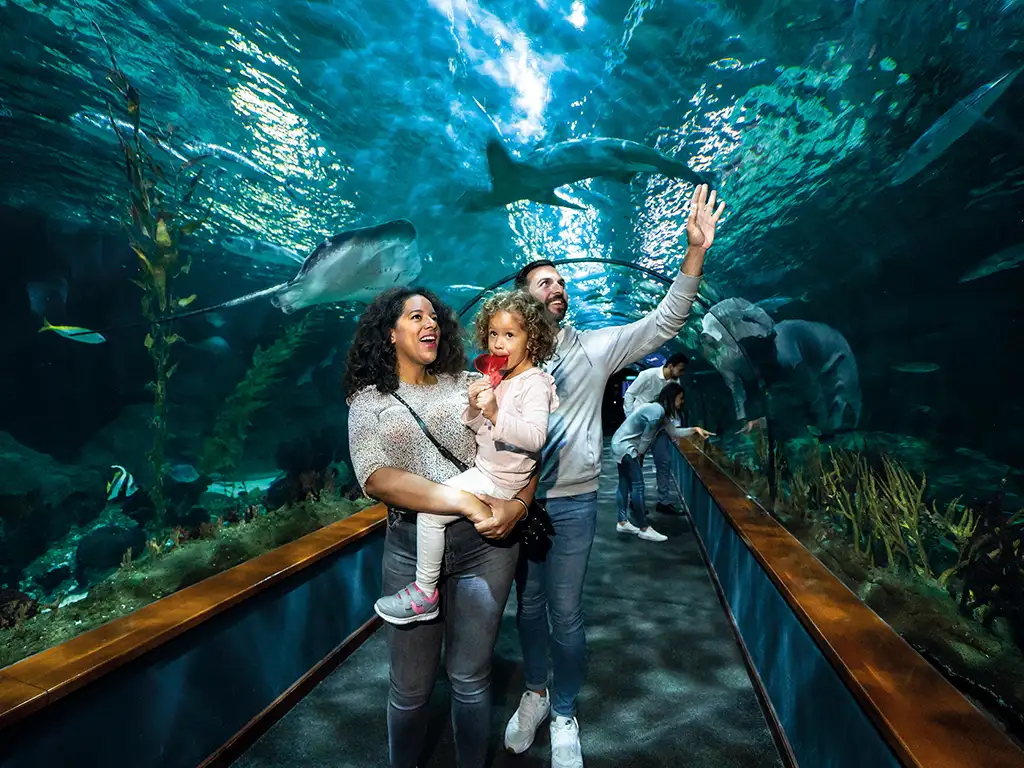 loro-parque-tenerife-sunshine-rent (7)