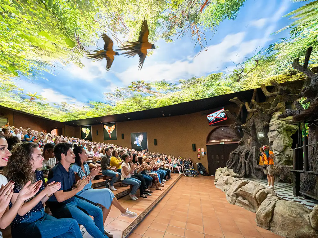 loro-parque-tenerife-sunshine-rent (8)