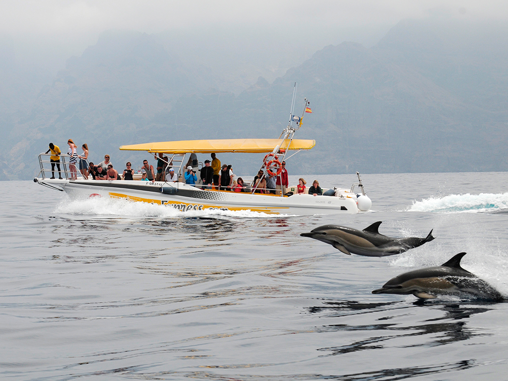 masca-express-tenerife-sunshine-rent (1)