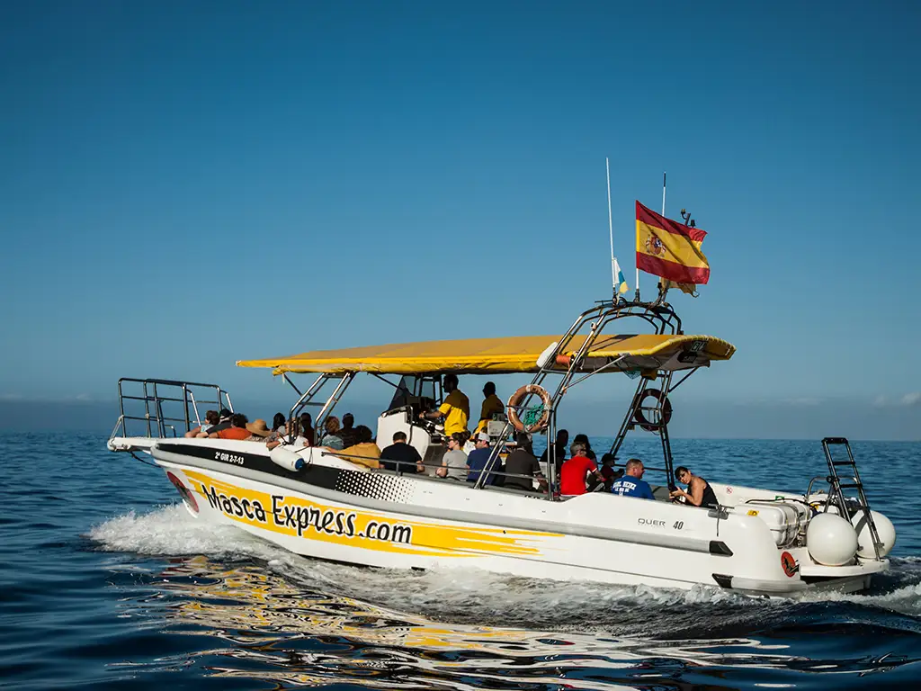 masca-express-tenerife-sunshine-rent (2)