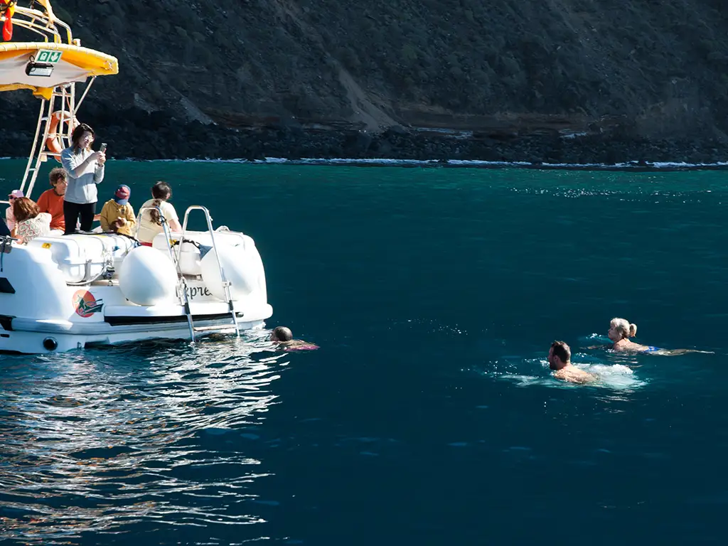 masca-express-tenerife-sunshine-rent (5)