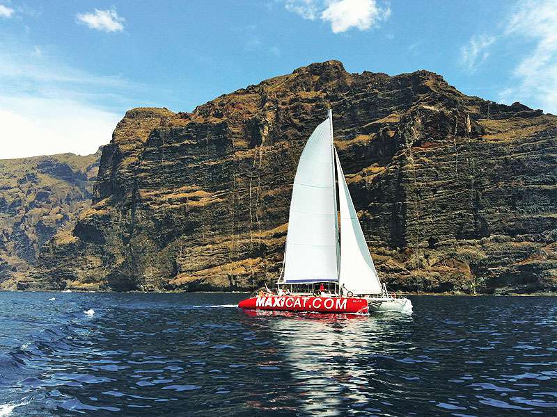 maxicat-tenerife-sunshine-rent (1)