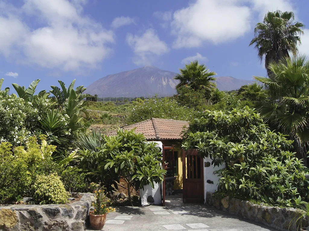 museo-artlandya-tenerife-sunshine-rent (3)