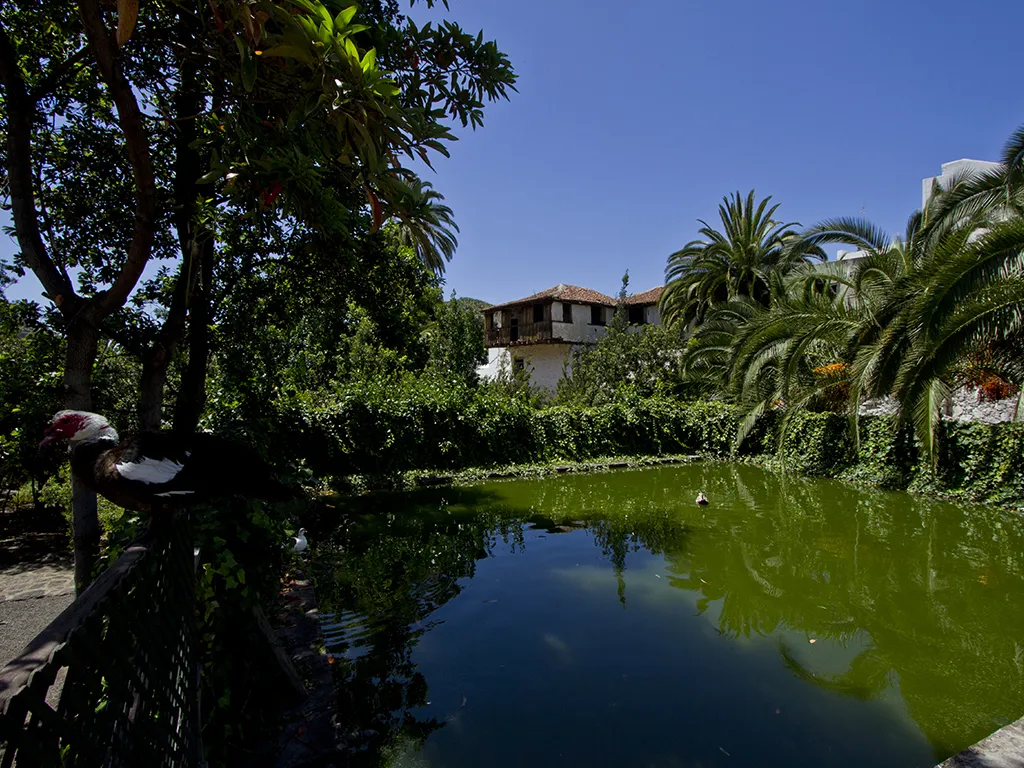 parque-del-drago-sunshine-rent-tenerife (2)