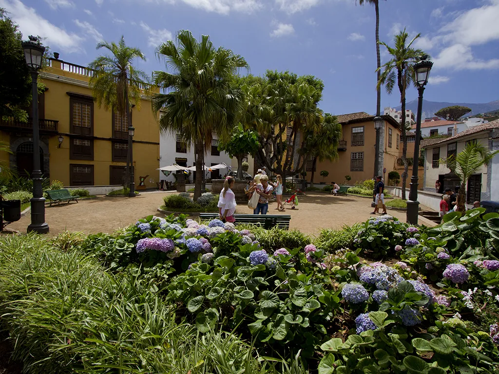 parque-del-drago-sunshine-rent-tenerife (3)