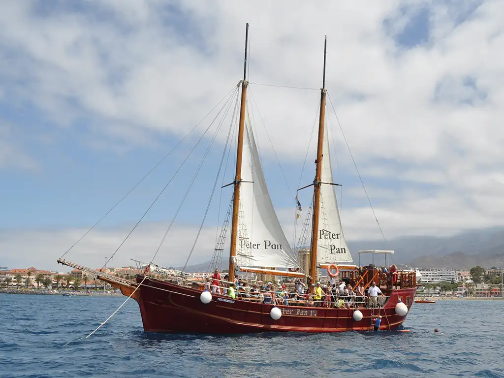 peter-pan-tenerife-sunshine-rent (3)