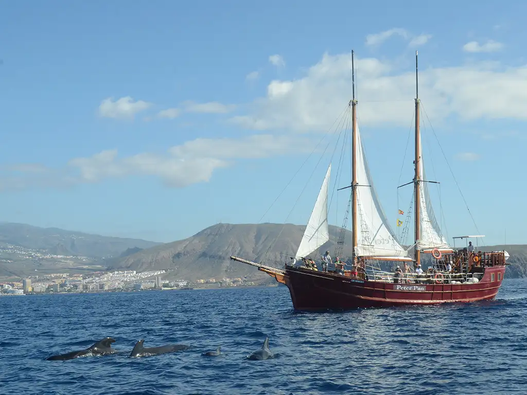 peter-pan-tenerife-sunshine-rent (5)