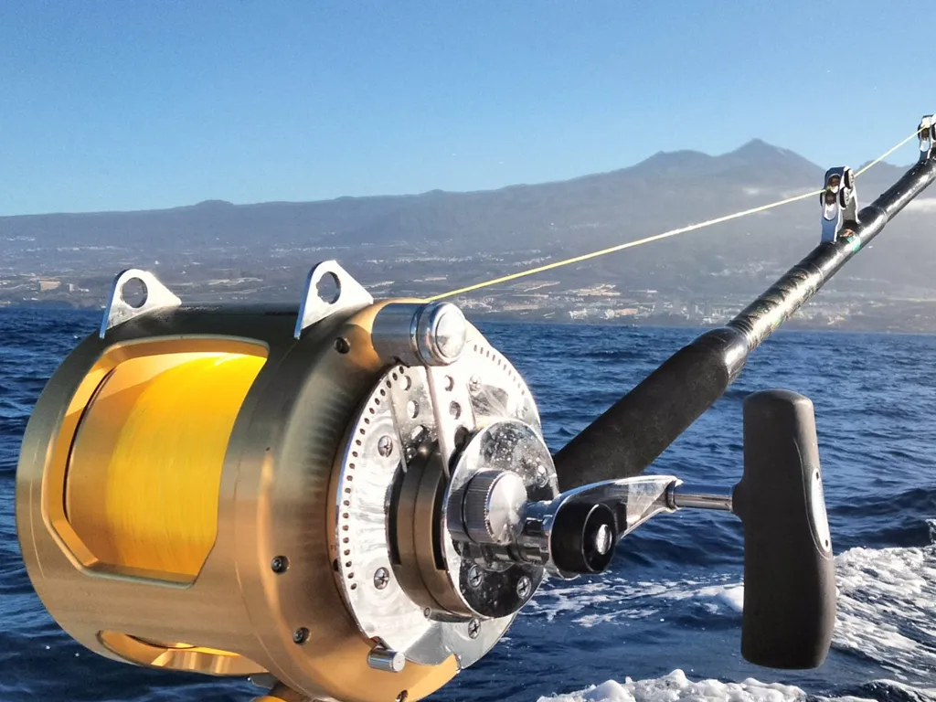 raggie-fishing-tenerife-sunshine-rent (2)