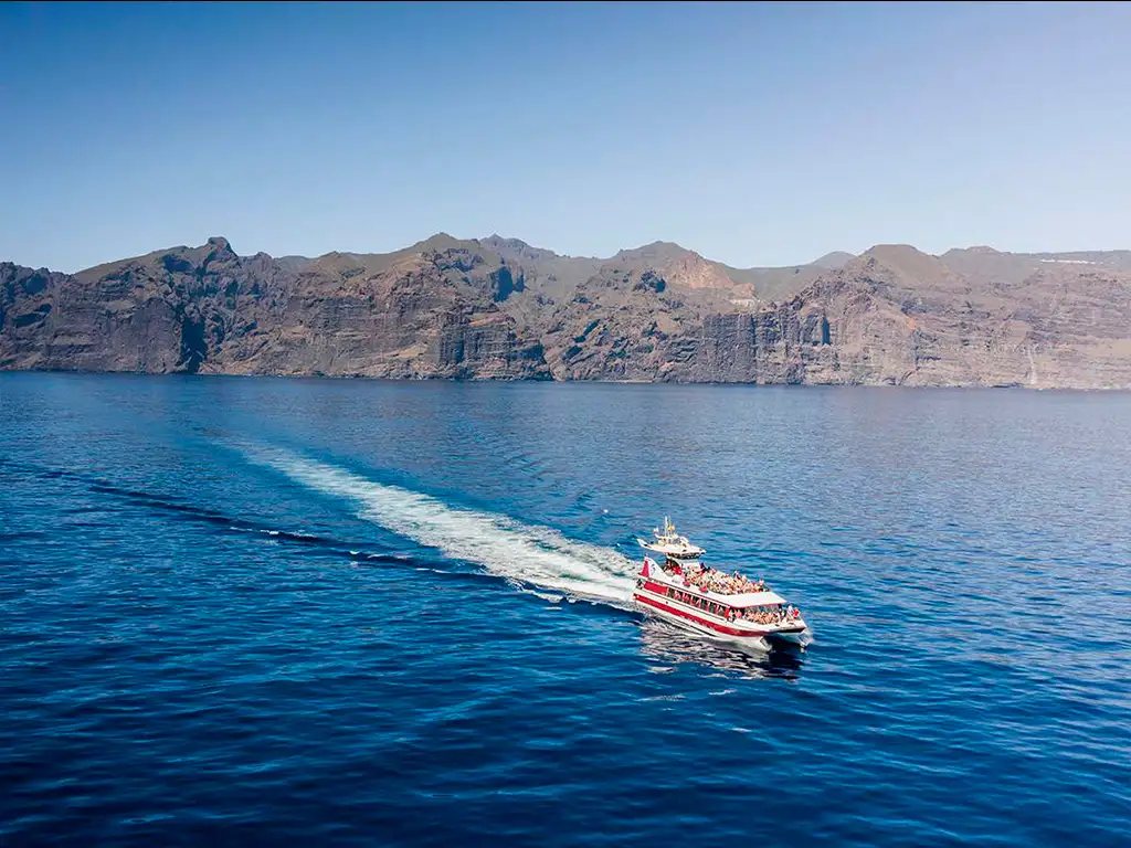 royal-delfine-tenerife-sunshine-rent (5)