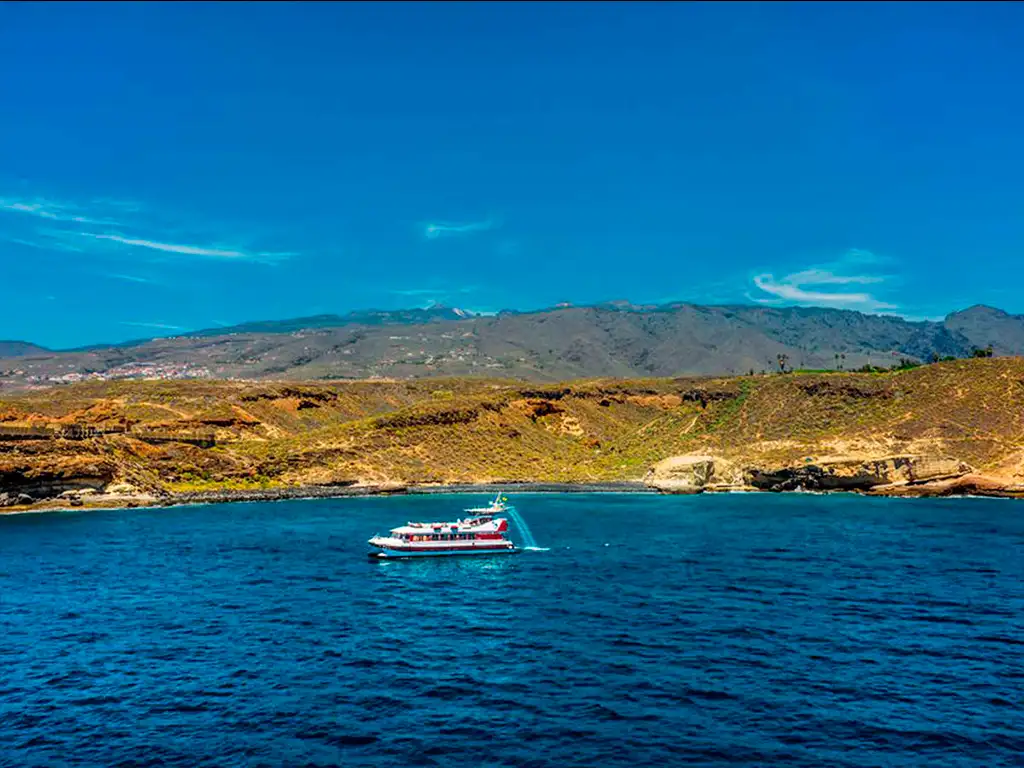 royal-delfine-tenerife-sunshine-rent (6)