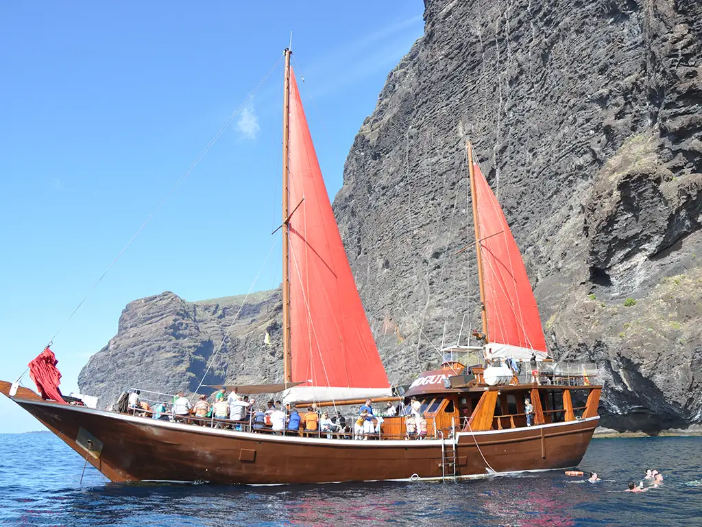 shogún-tenerife-sunshine-rent (1)