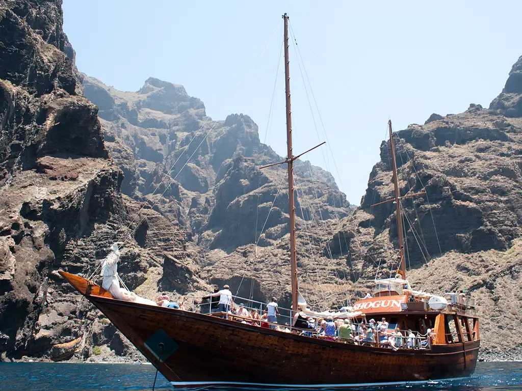 shogún-tenerife-sunshine-rent (2)