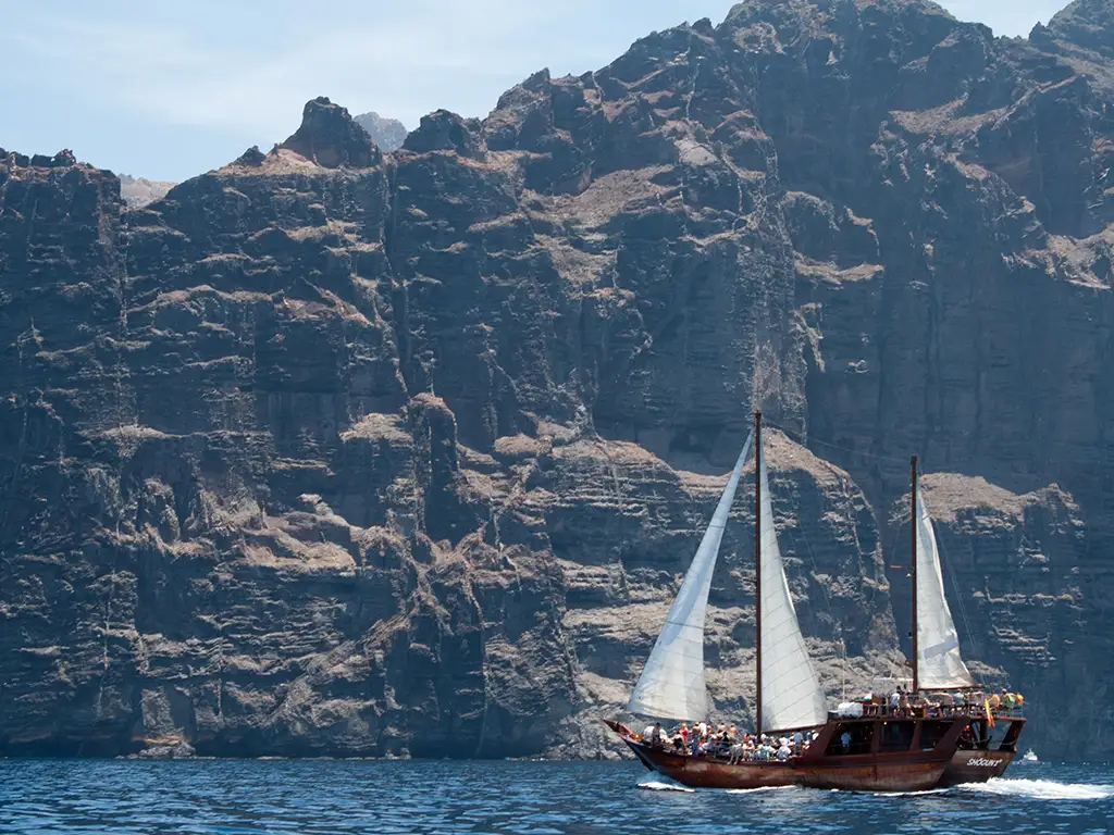 shogún-tenerife-sunshine-rent (3)