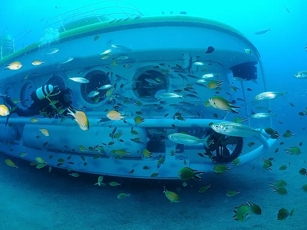 submarine-safari-tenerife-sunshine-rent (4)