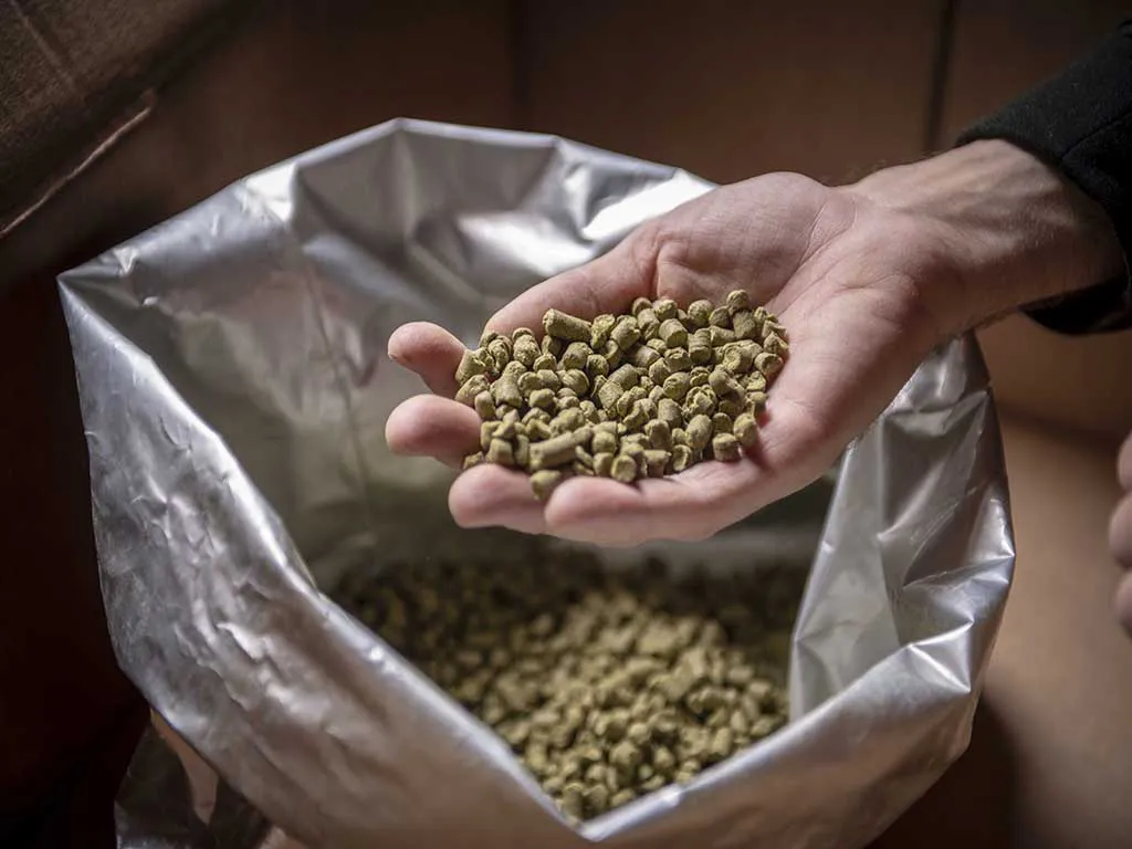 tacoa-cerveceria-fabrica-tenerife-sunshine-rent (2)