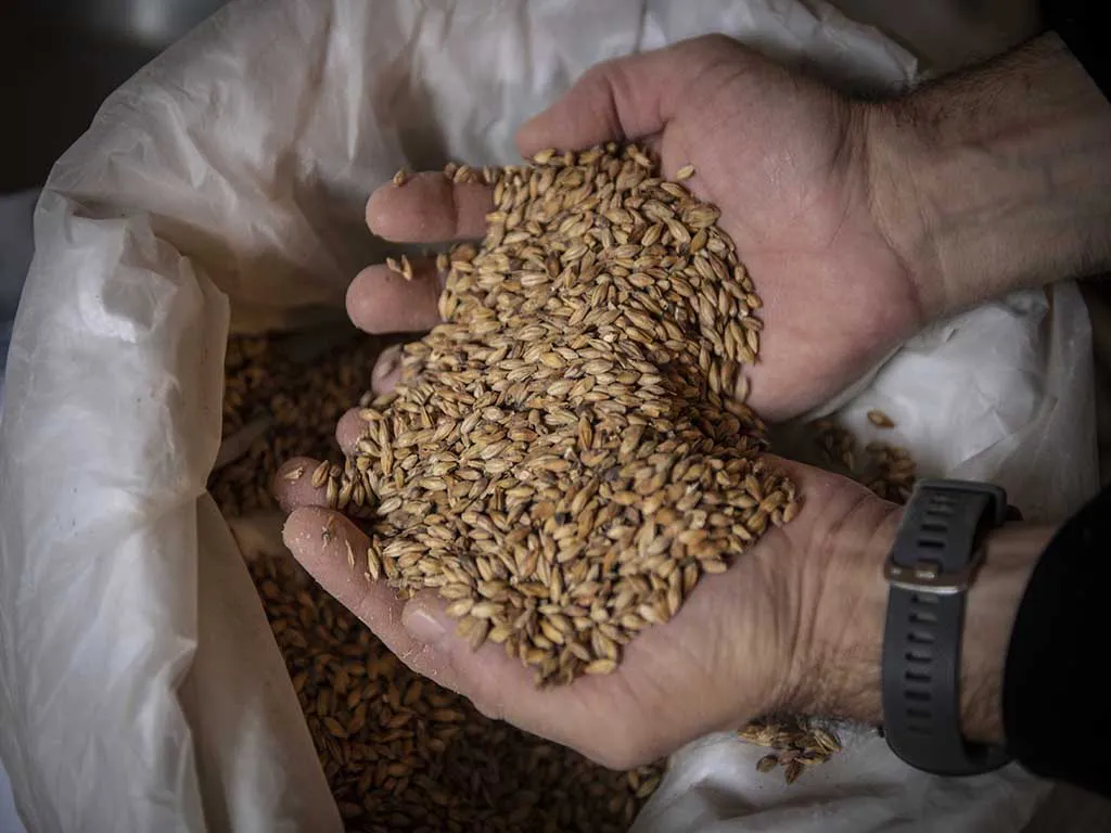 TACOA Cervecería & Fábrica