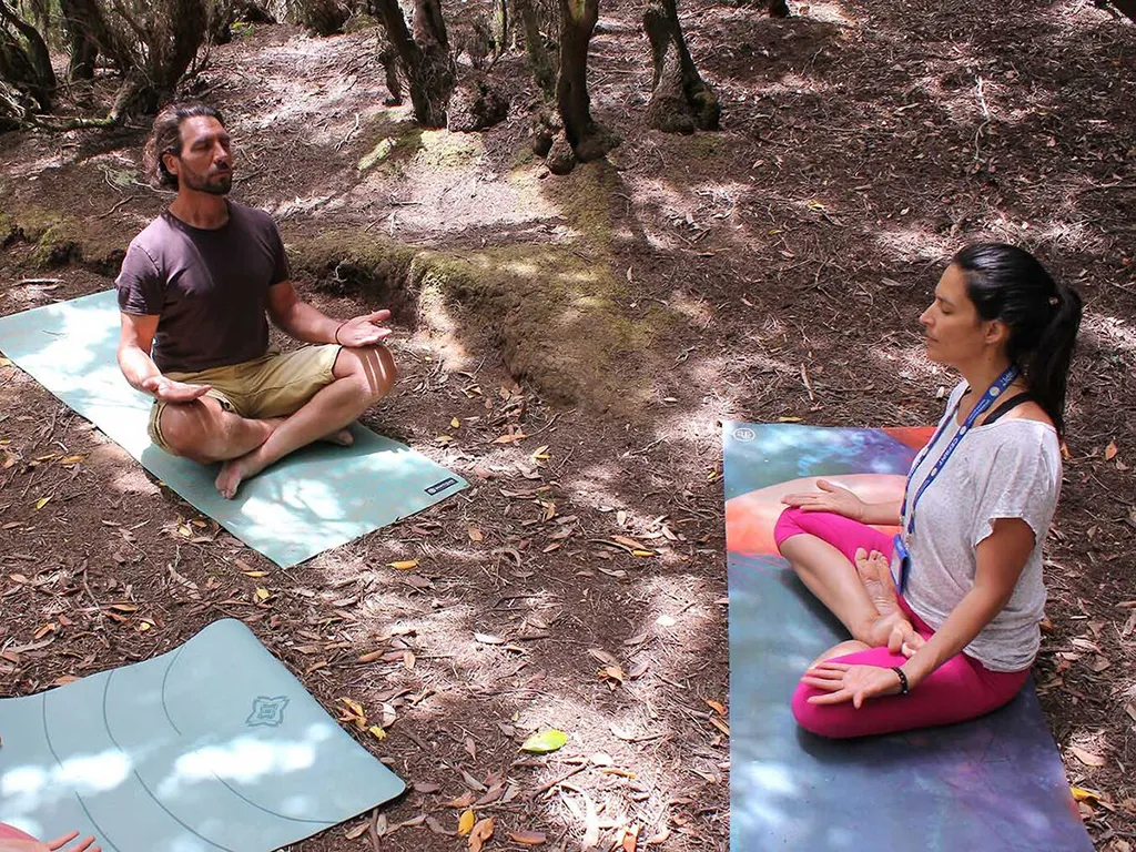 tazirga-wellnsess-tours-rutas-guiadas-tenerife-sunshine-rent (5)