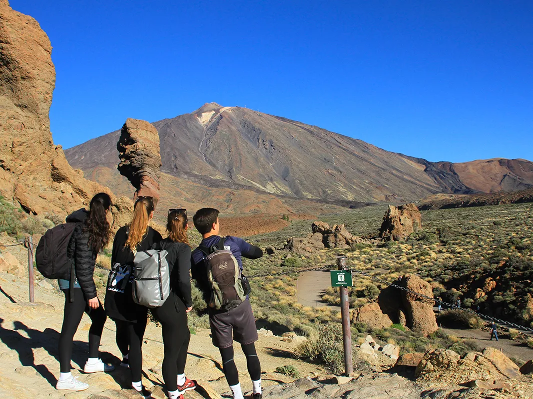 Teide Tour Di Mezza Giornata