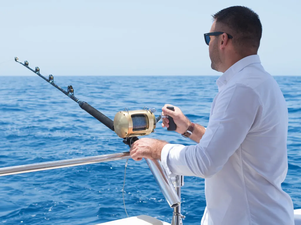 tigresa-tenerife-sunshine-rent (3)