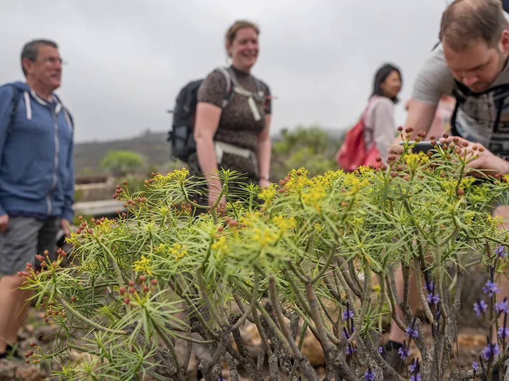 trekking-hiking-tenerife-sunshine-rent (3)