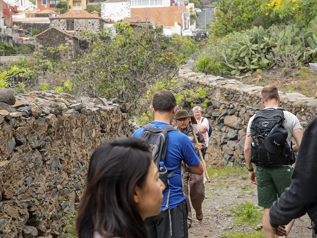 trekking-hiking-tenerife-sunshine-rent (7)