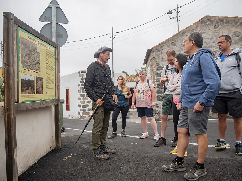 trekking-hiking-tenerife-sunshine-rent (8)