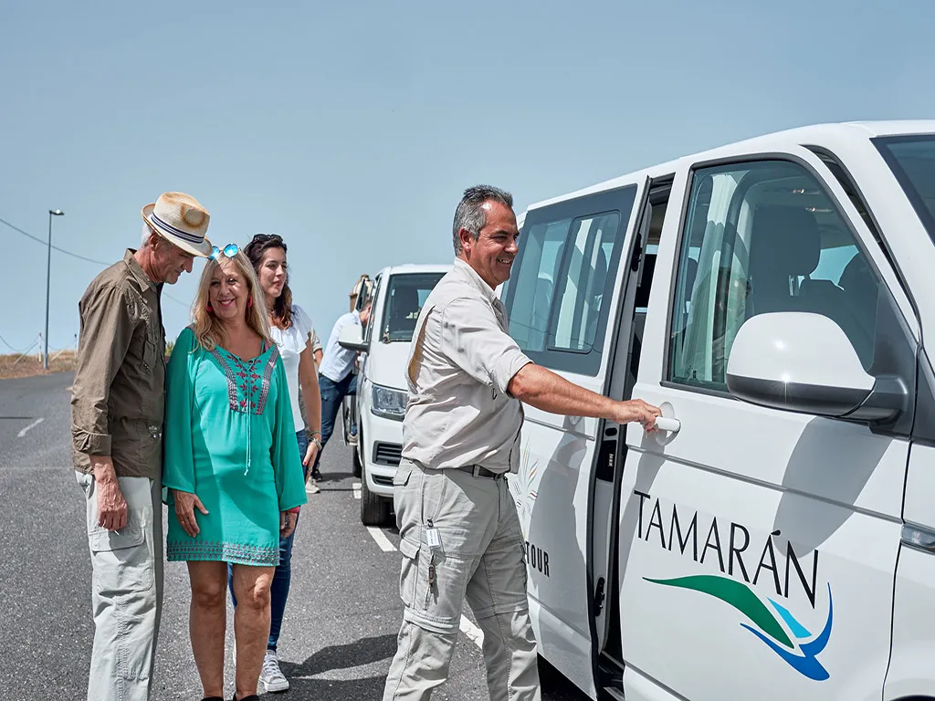 vip-tour-minivan-tenerife-sunshine-rent (3)